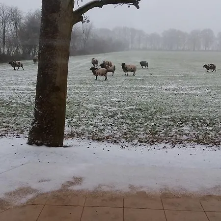 Het Findament Tiny House 别墅 *