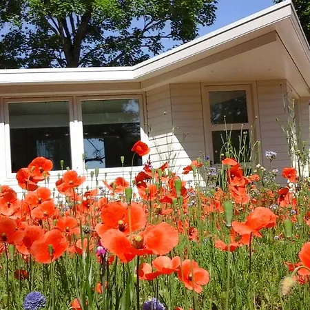 Villa Het Findament Tiny House