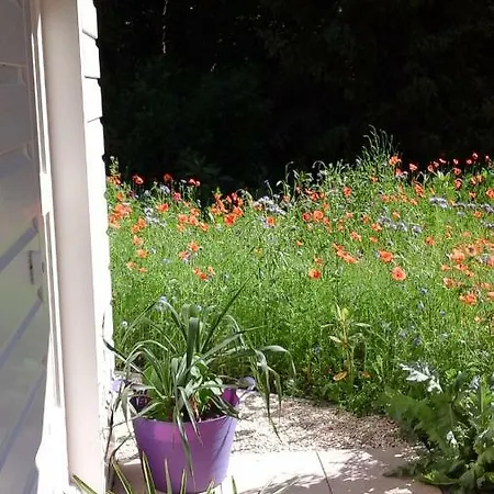 Het Findament Tiny House