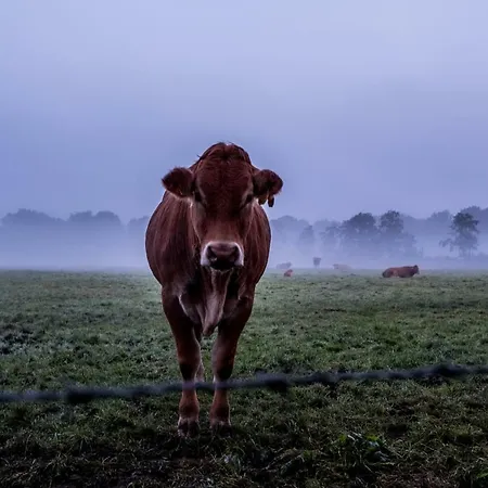 Het Findament Tiny House 别墅 希佛萨姆