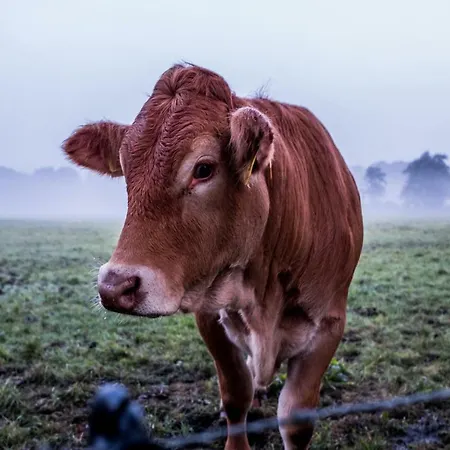Het Findament Tiny House