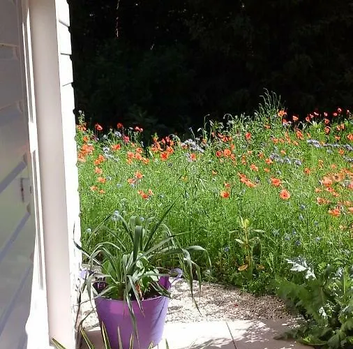 Het Findament Tiny House