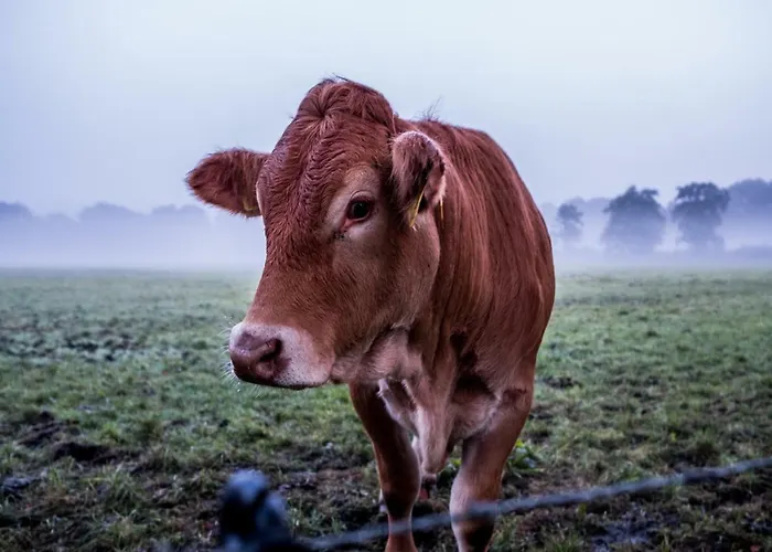 Het Findament Tiny House
