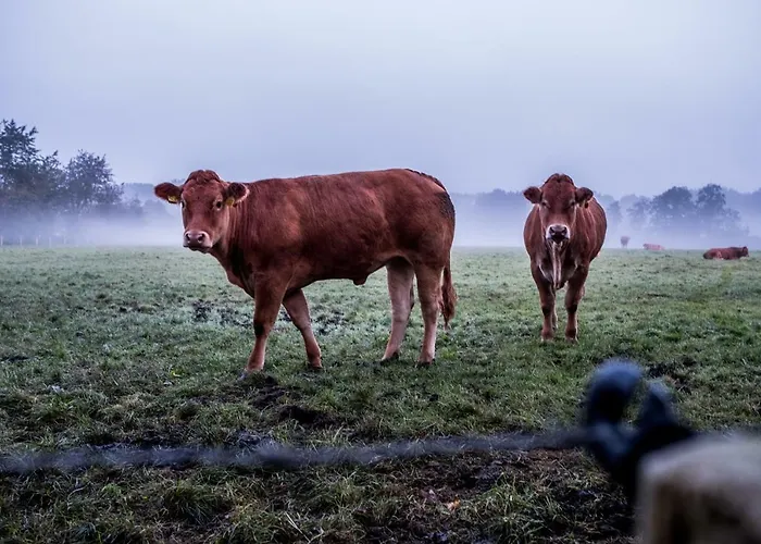 Het Findament Tiny House