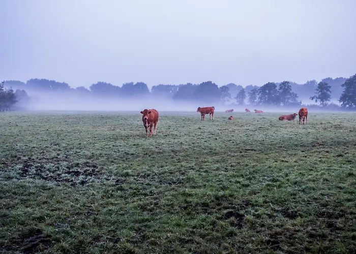 Villa Het Findament Tiny House *