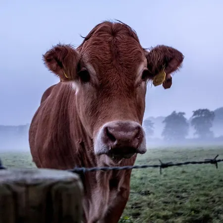 Het Findament Tiny House *