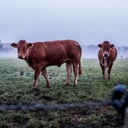 Het Findament Tiny House