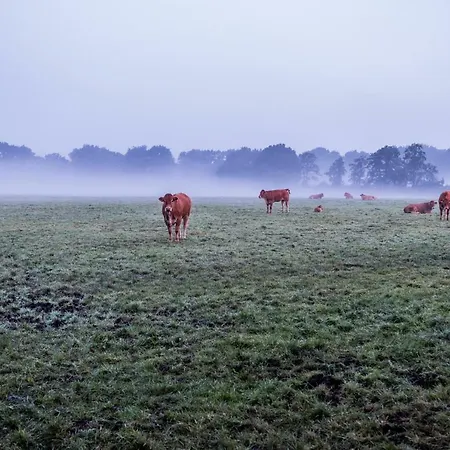 וילה Het Findament Tiny House *