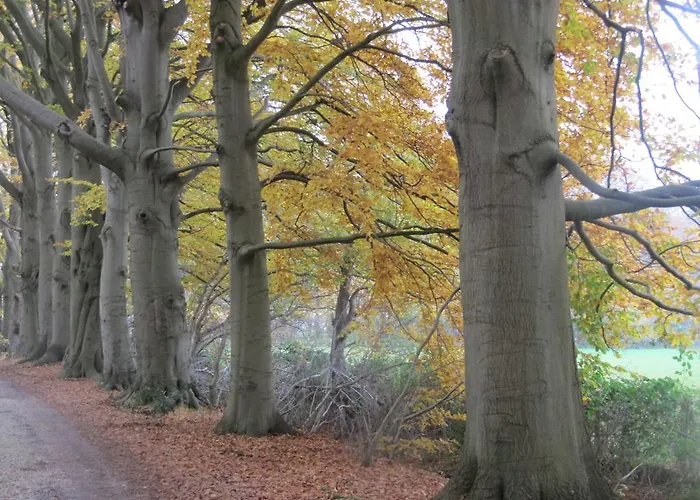 Het Findament Tiny House