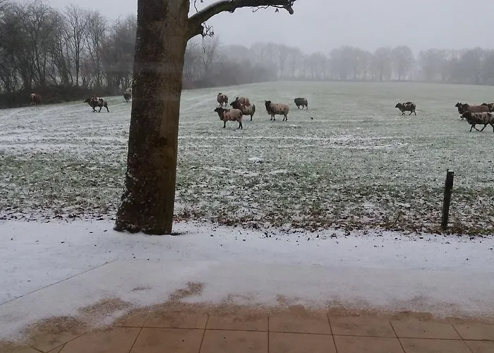 Het Findament Tiny House וילה *