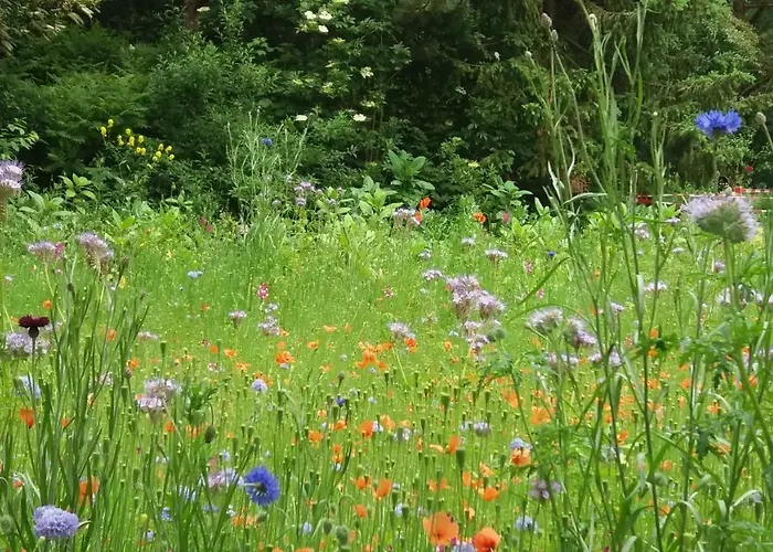 Het Findament Tiny House הילברסום