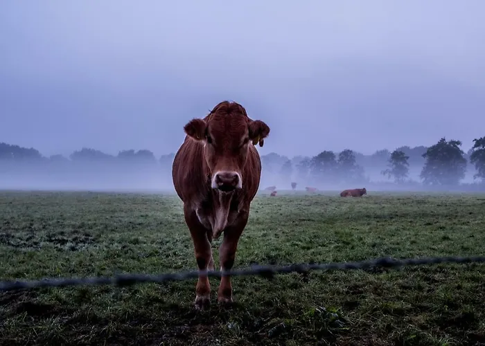 Het Findament Tiny House וילה הילברסום