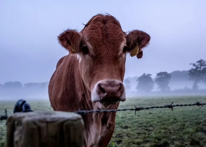 Het Findament Tiny House *